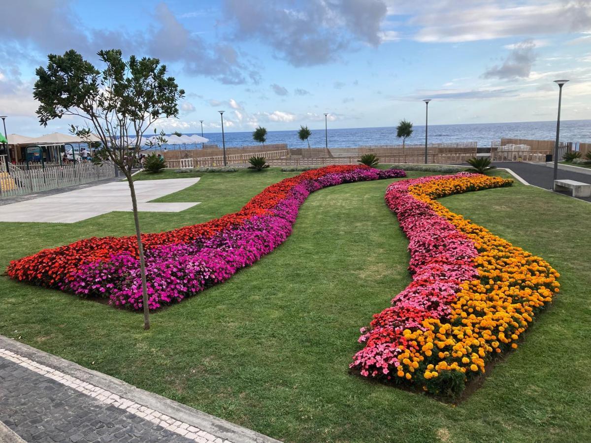 Quinta Palmeiras * Povoacao (Sao Miguel)
